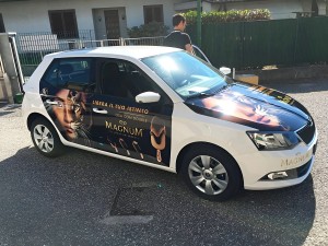 decorazione automezzi 2